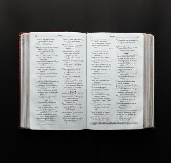 enterprise reference document numbers