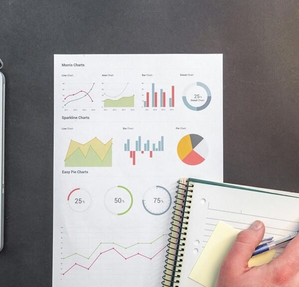 organizational data report summary