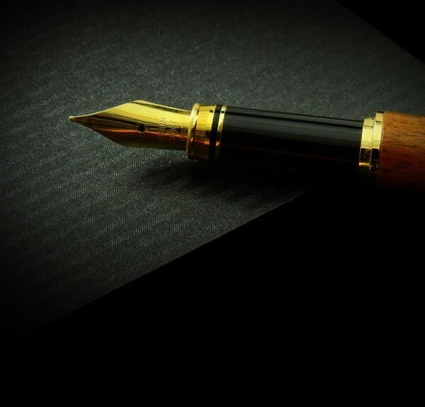 premium business forecast analysis