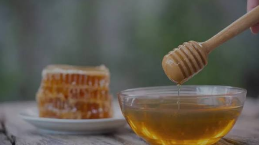 What Makes Tupelo Honey From Florida the Rarest in America?